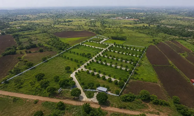 Royal Pearl Valley